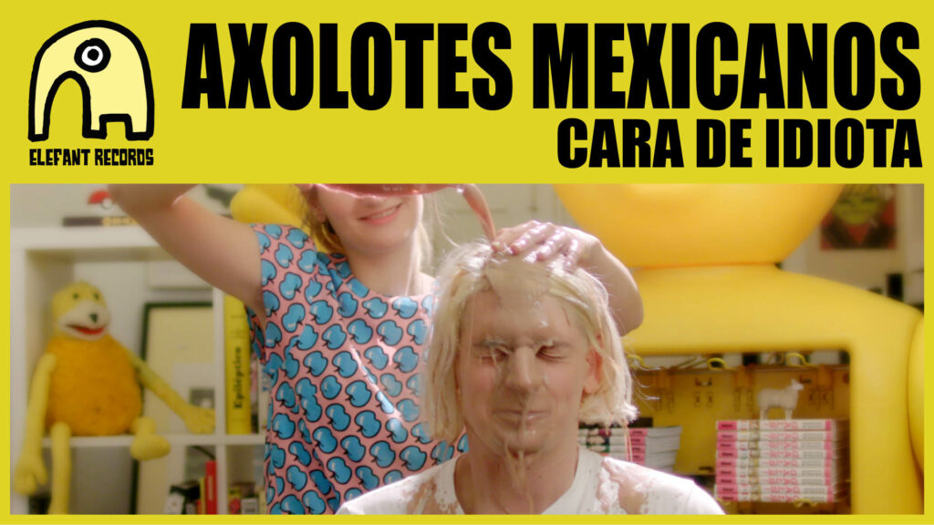 Imagen destacada de video: Cara De Idiota [Video-Clip]